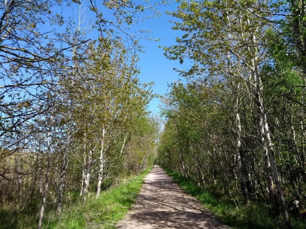 Lieblingszeit Im Kuestenwald Graal-Mueritz Gelbensande Bagian luar foto